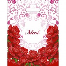 Пакеты с вырубной ручкой с лого и без